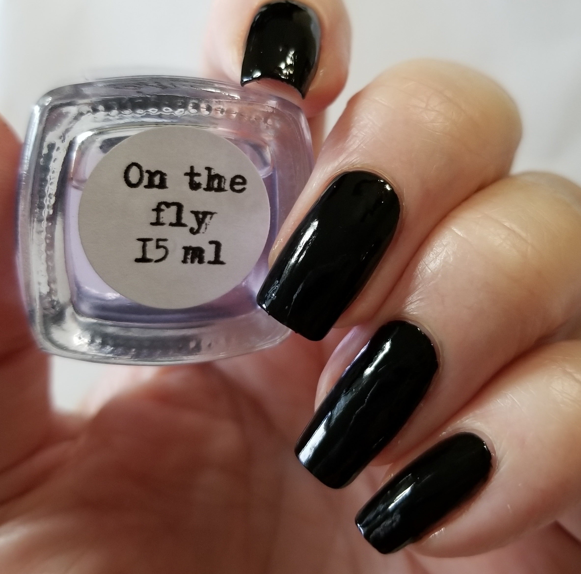 On the fly